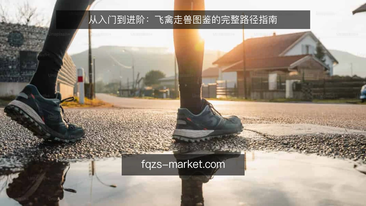从入门到进阶：飞禽走兽图鉴的完整路径指南