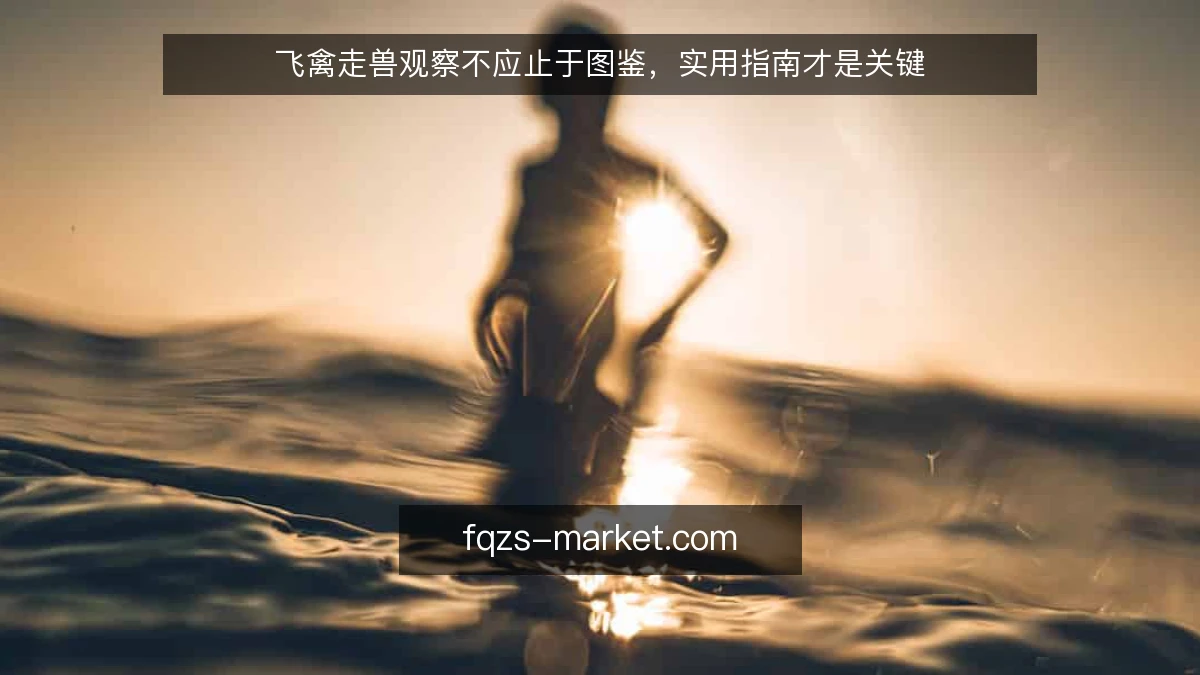 飞禽走兽观察不应止于图鉴，实用指南才是关键