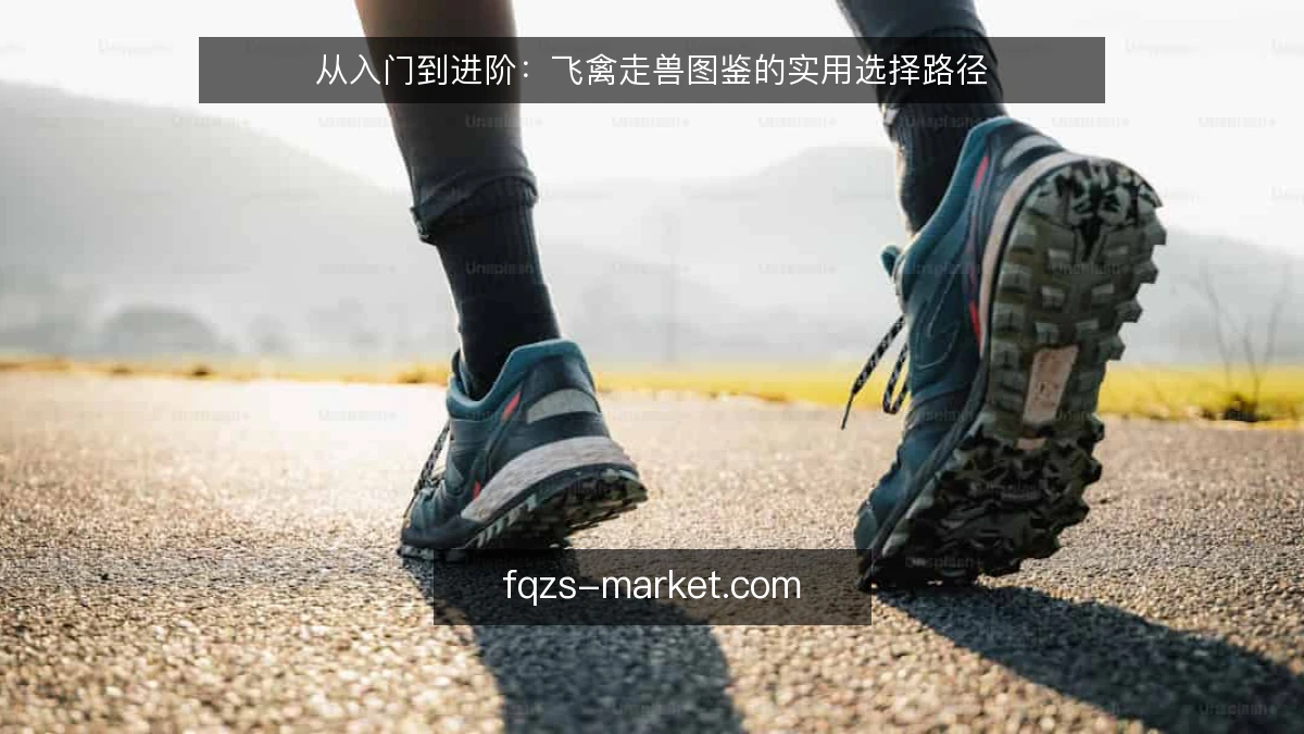 从入门到进阶：飞禽走兽图鉴的实用选择路径
