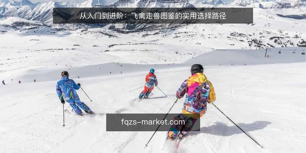 从入门到进阶:飞禽走兽图鉴的实用选择路径 — 选图鉴时常见的困惑 配图