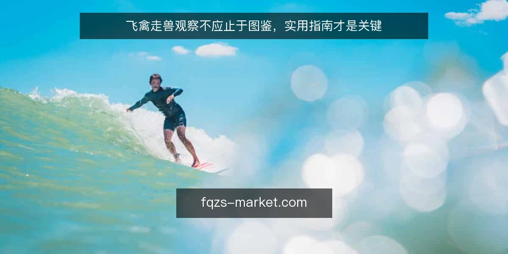 飞禽走兽观察不应止于图鉴,实用指南才是关键 — 需求定义:观察飞禽走兽的核心目标是什么 配图
