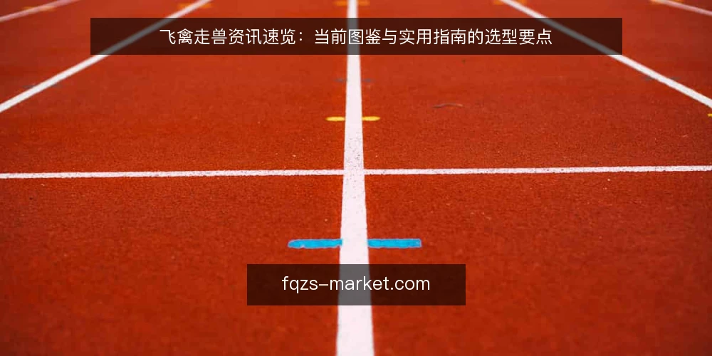 飞禽走兽资讯速览:当前图鉴与实用指南的选型要点 — 需求界定:先明确观察对象与场景 配图