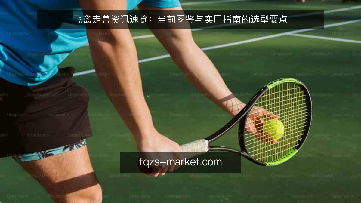 飞禽走兽资讯速览：当前图鉴与实用指南的选型要点