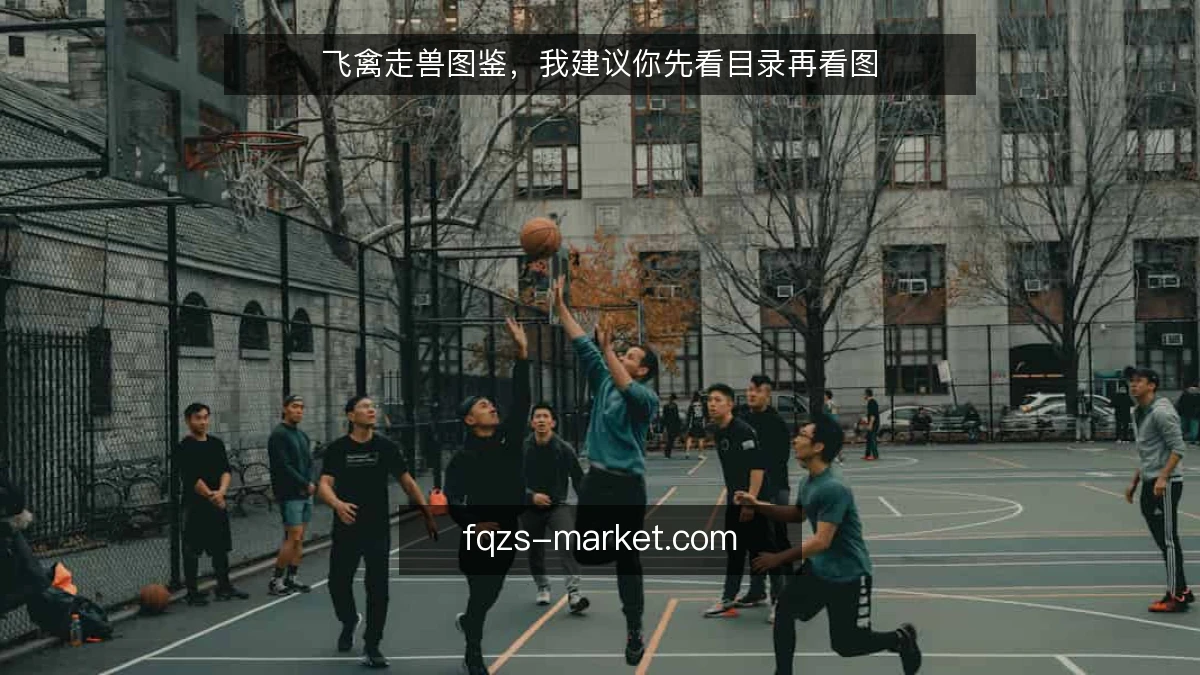 飞禽走兽图鉴，我建议你先看目录再看图