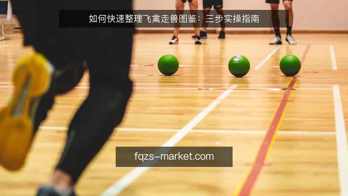 如何快速整理飞禽走兽图鉴：三步实操指南
