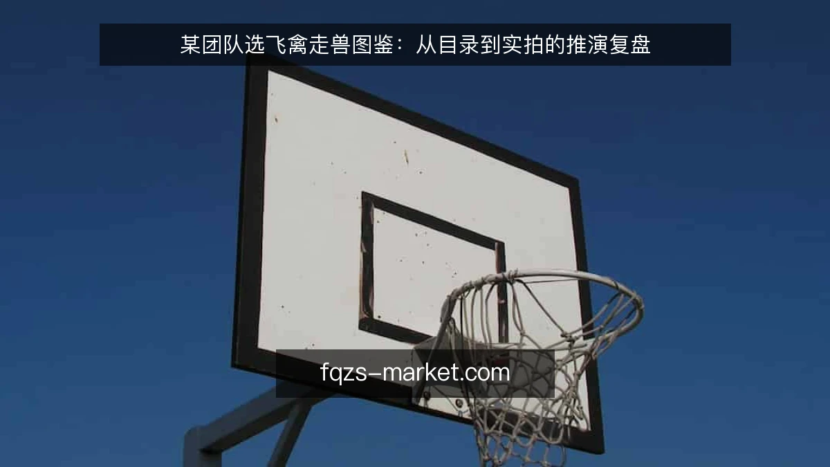 某团队选飞禽走兽图鉴：从目录到实拍的推演复盘