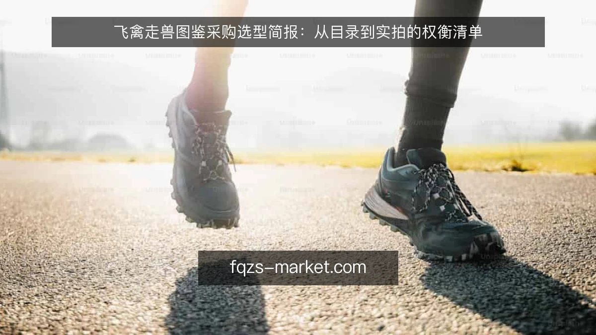 飞禽走兽图鉴采购选型简报：从目录到实拍的权衡清单