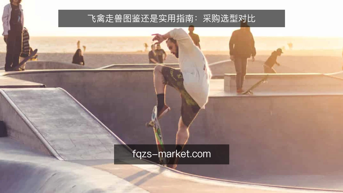 飞禽走兽图鉴还是实用指南：采购选型对比