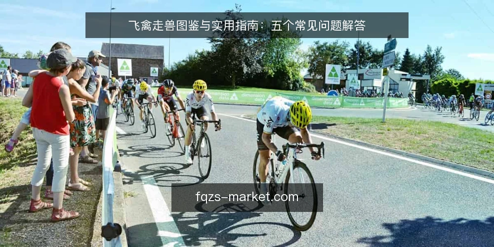 飞禽走兽图鉴与实用指南：五个常见问题解答 — 飞禽走兽图鉴和实用指南有何区别？ 配图