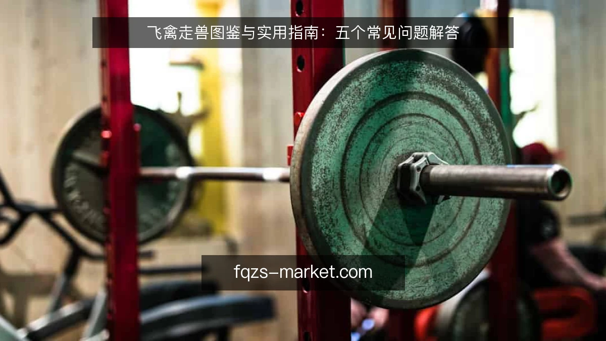 飞禽走兽图鉴与实用指南：五个常见问题解答