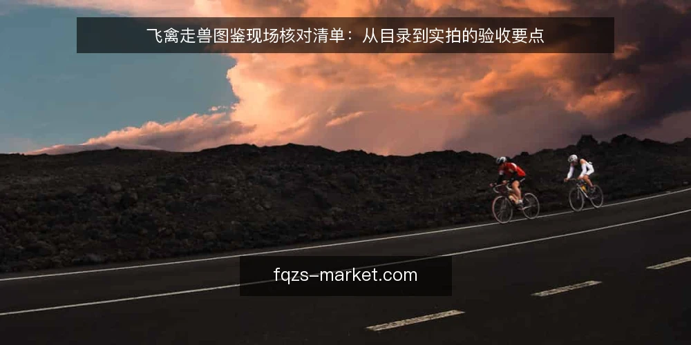 飞禽走兽图鉴现场核对清单:从目录到实拍的验收要点 — 现场需要捕捉的信号 配图