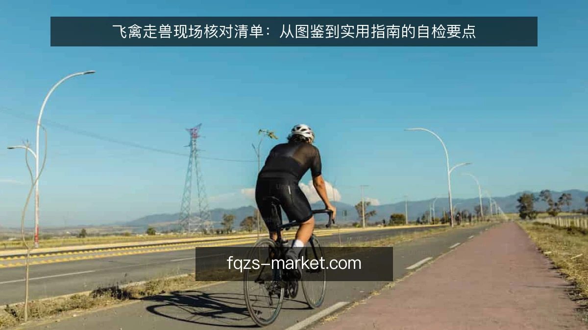 飞禽走兽现场核对清单：从图鉴到实用指南的自检要点