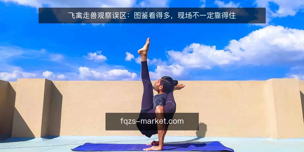 飞禽走兽观察误区：图鉴看得多，现场不一定靠得住 — 现场该盯的信号 配图