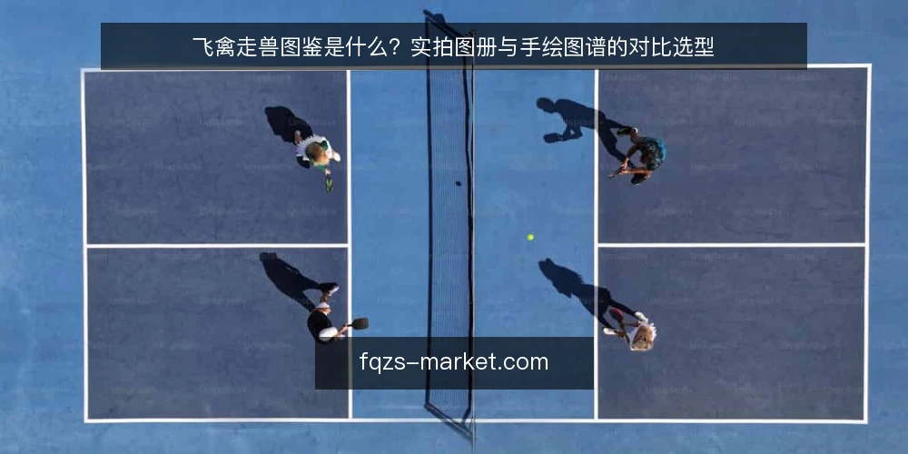 飞禽走兽图鉴是什么？实拍图册与手绘图谱的对比选型 — 先定标准：图鉴选型的四个决策维度 配图