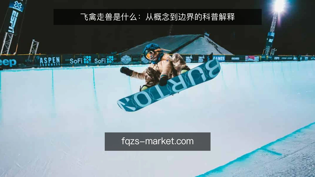 飞禽走兽是什么：从概念到边界的科普解释