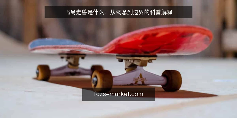飞禽走兽是什么：从概念到边界的科普解释 — 飞禽走兽到底指什么 配图