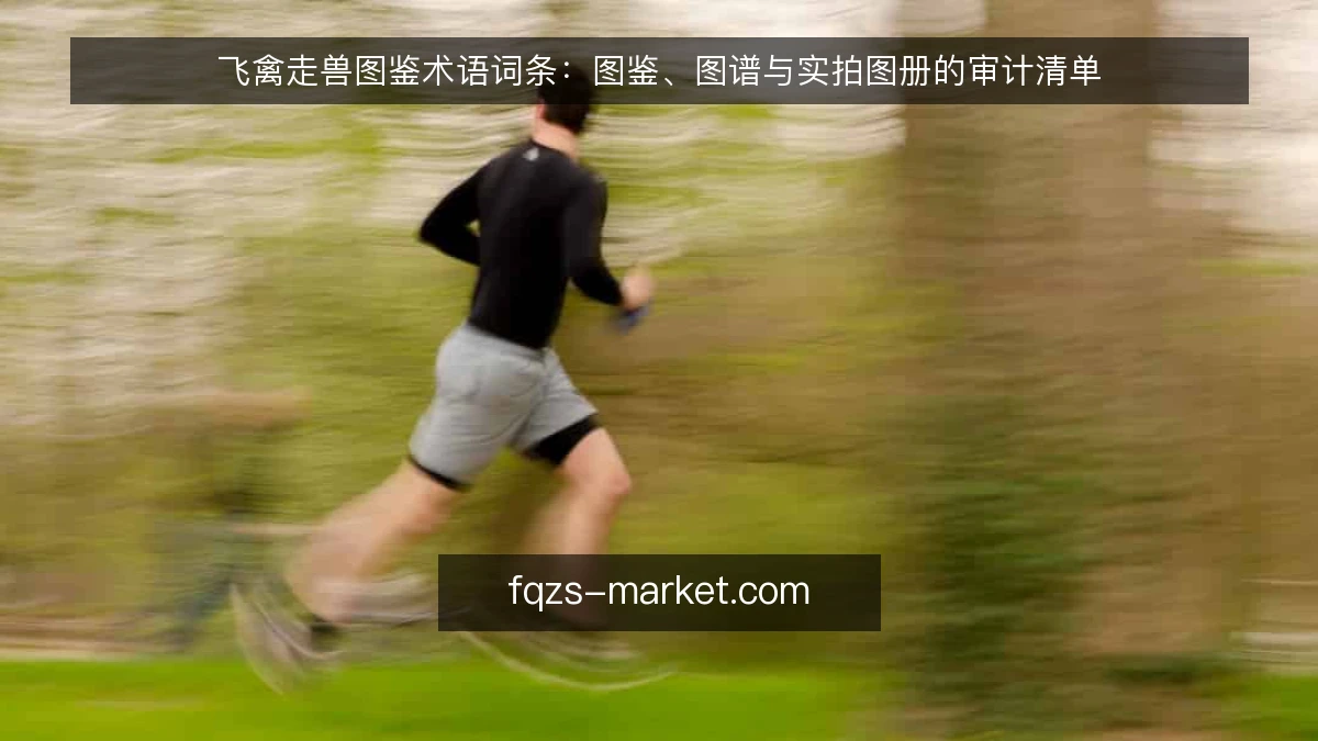 飞禽走兽图鉴术语词条：图鉴、图谱与实拍图册的审计清单