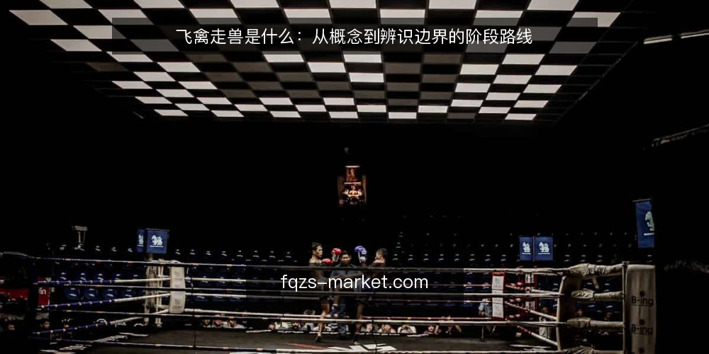 飞禽走兽是什么：从概念到辨识边界的阶段路线 — 先立定义：飞禽走兽到底指什么 配图