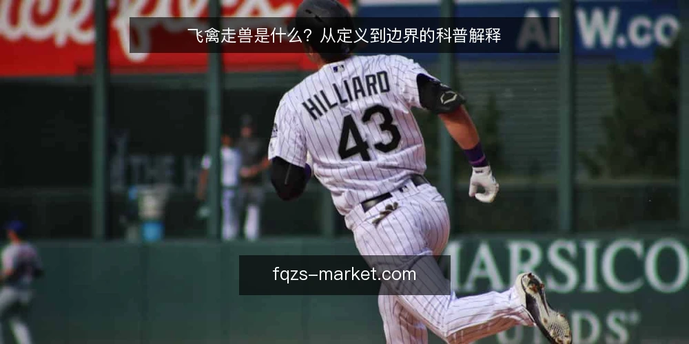 飞禽走兽是什么？从定义到边界的科普解释 — 先厘清语境：飞禽走兽这个词到底指什么 配图