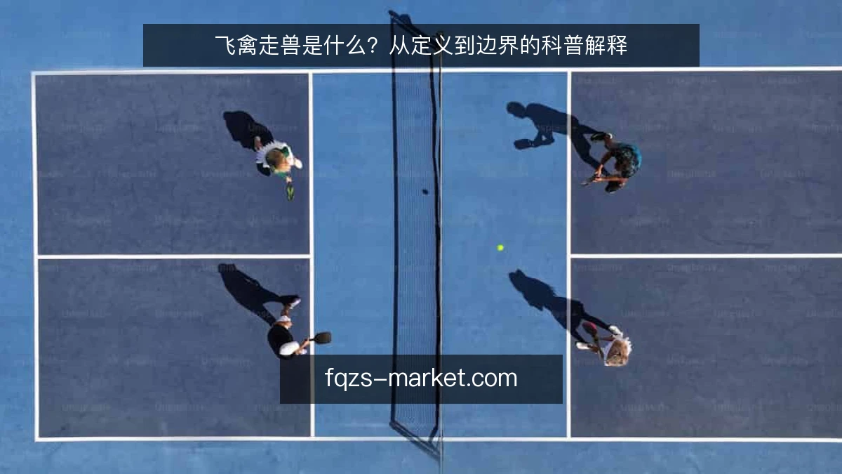 飞禽走兽是什么？从定义到边界的科普解释