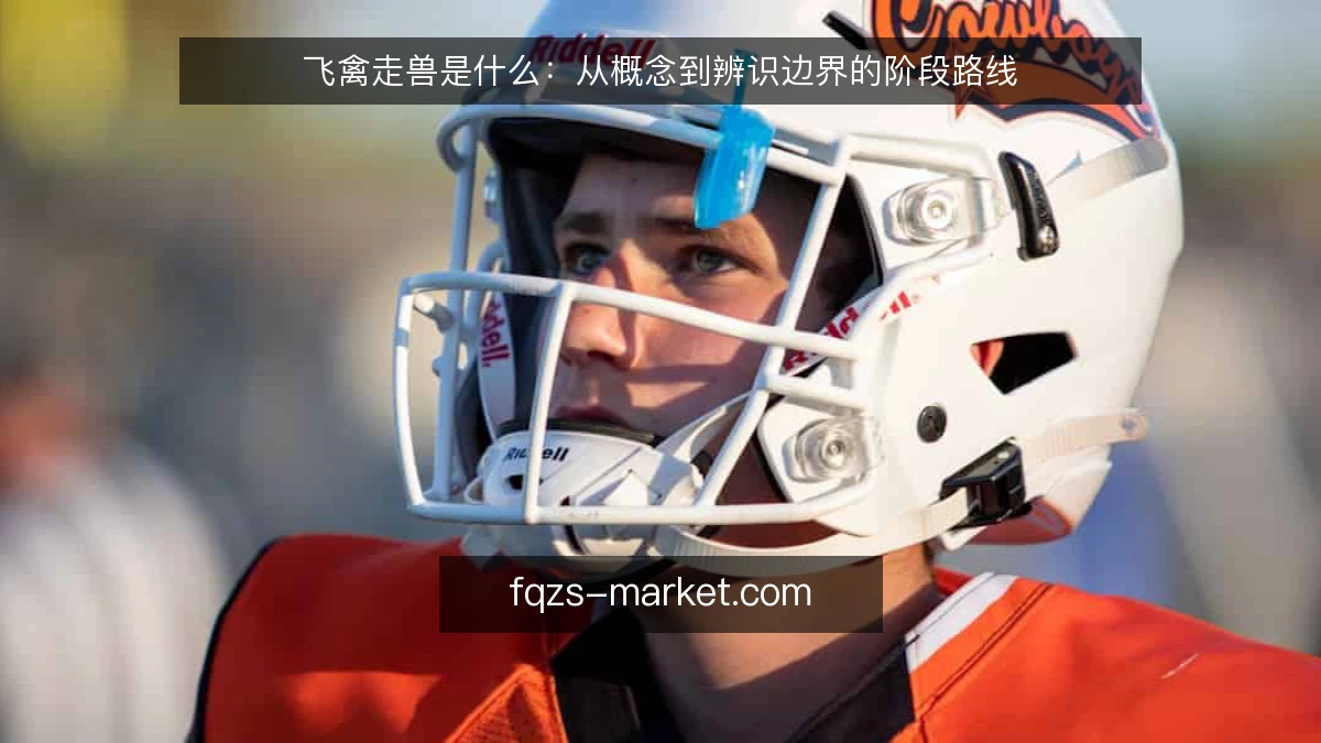飞禽走兽是什么：从概念到辨识边界的阶段路线